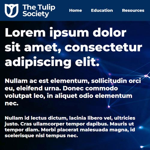 Tulip Pro